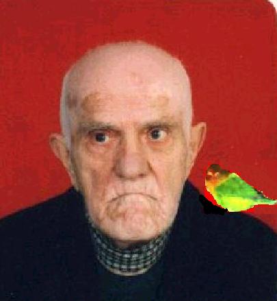 dedem2.jpg