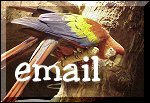 parrot1-uemail.jpg